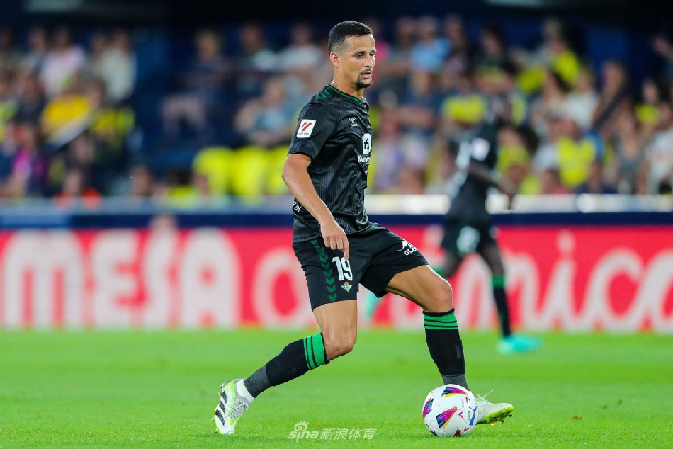 篇文章再补 篇文章再补